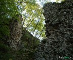 Stari grad na sastavcima Paljanske i Mokranjske Miljacke